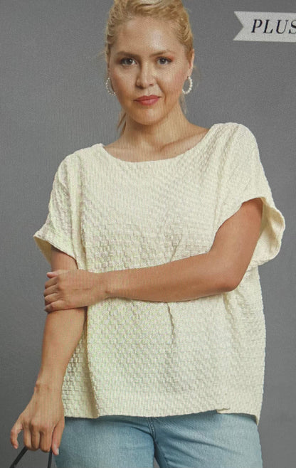 Cream Textured Jacquard Top PLUS