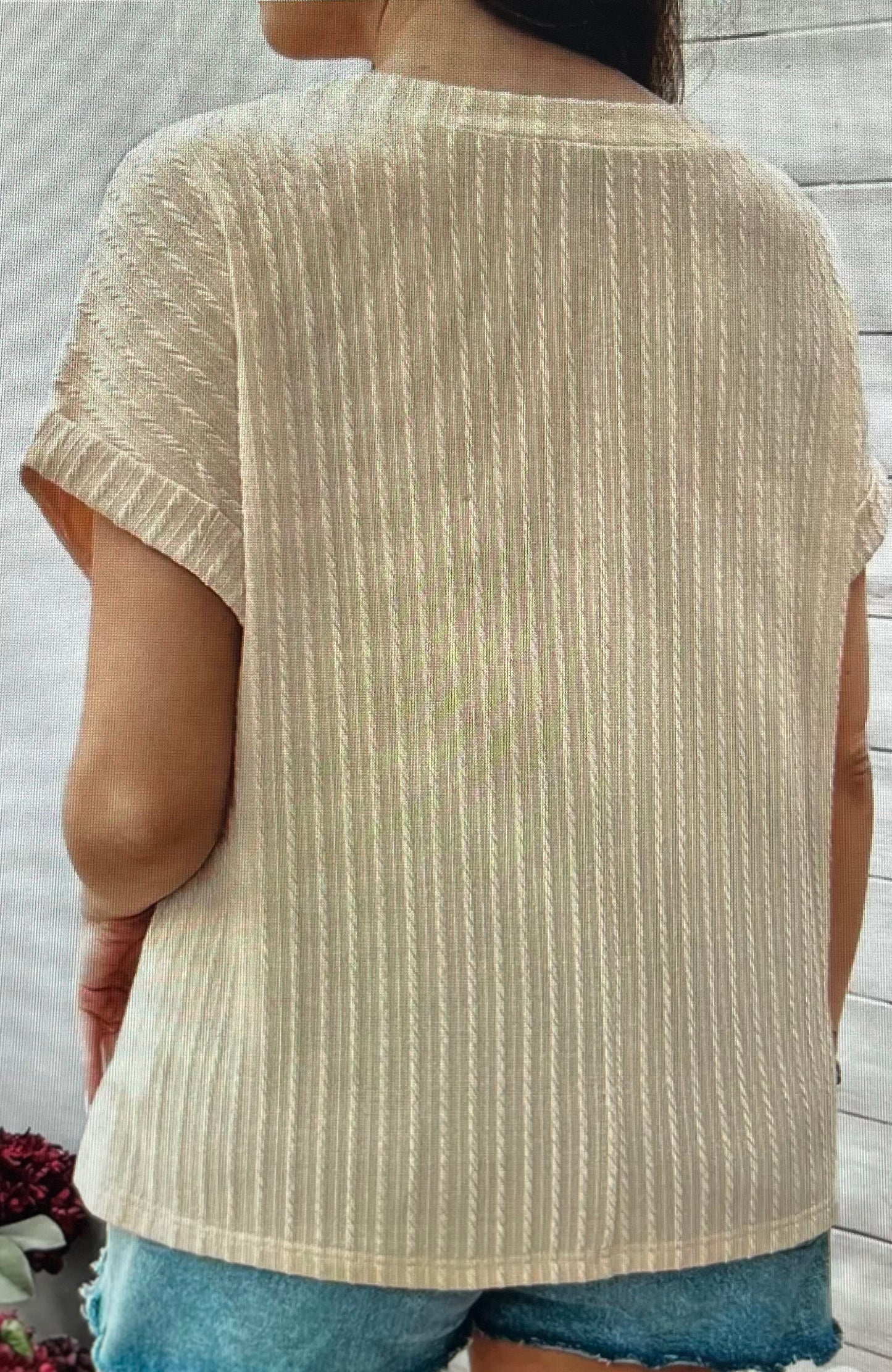 Beige Textured Top PLUS