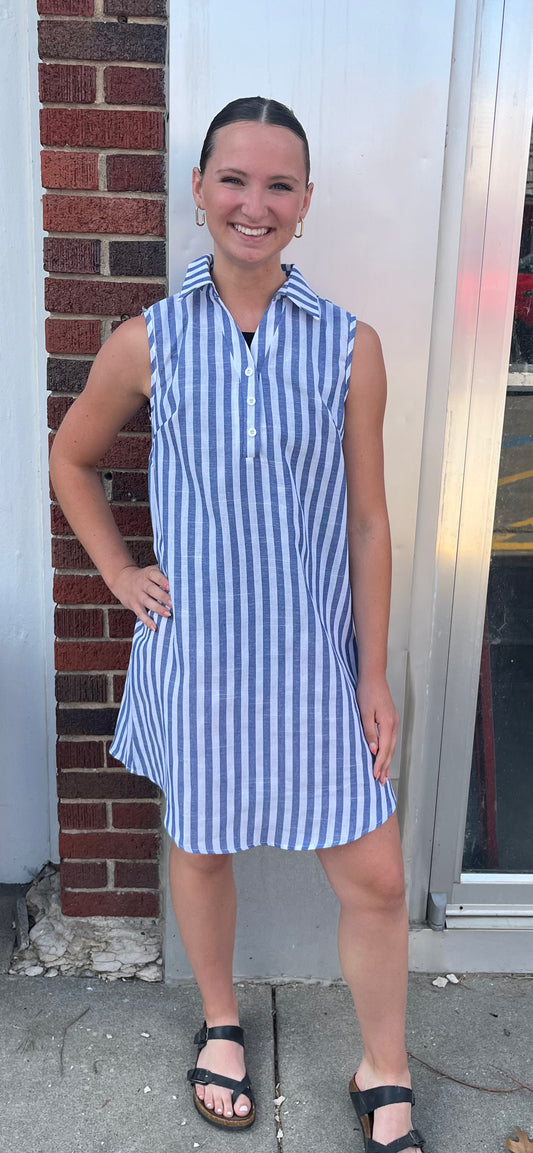 Sleeveless Button Down Dress