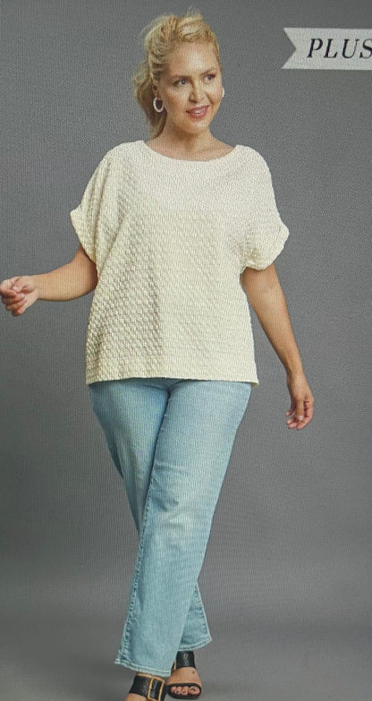 Cream Textured Jacquard Top PLUS