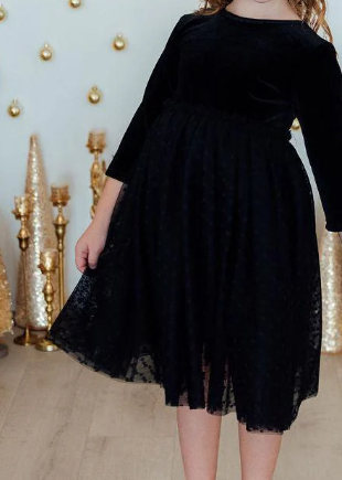 Black Velvet Tutu Dress