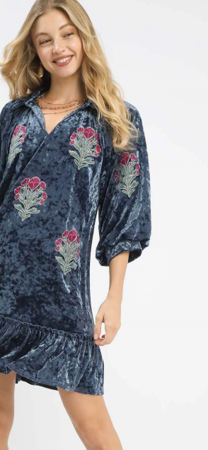 Velvet Floral Embroidered Dress