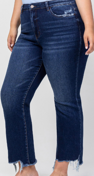High-Rise Distressed Hem Flare Jeans PL